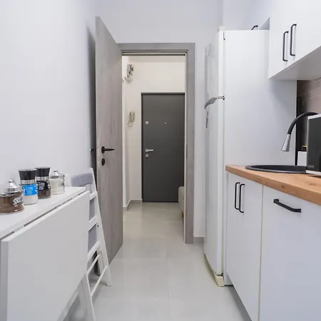 Elegant Fresh Renovated Bukurešť